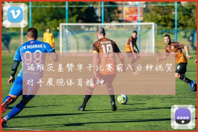 诺维茨基赞华子比赛前八分钟祝贺对手展现体育精神
