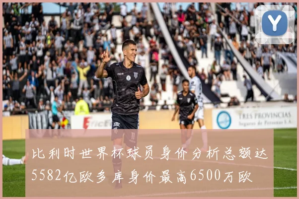 比利时世界杯球员身价分析总额达5582亿欧多库身价最高6500万欧